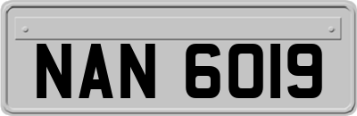 NAN6019