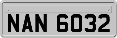 NAN6032