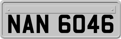 NAN6046