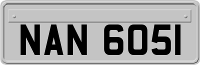 NAN6051