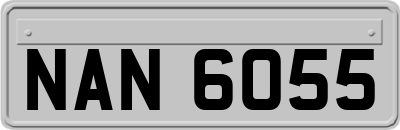 NAN6055