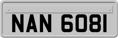 NAN6081