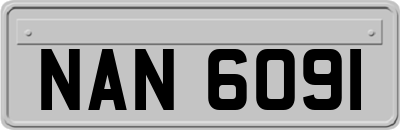 NAN6091