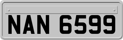 NAN6599