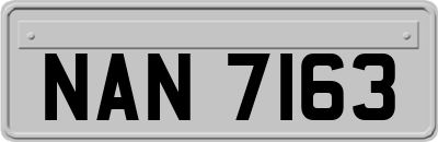 NAN7163