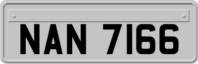 NAN7166