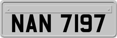 NAN7197