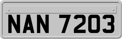 NAN7203