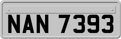 NAN7393