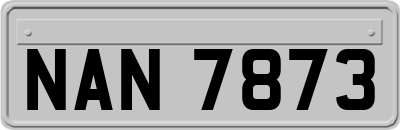 NAN7873
