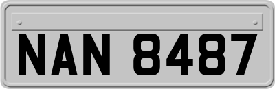 NAN8487