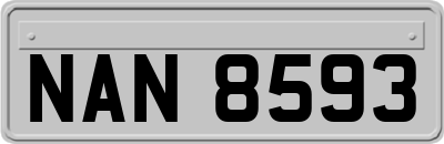NAN8593