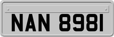 NAN8981