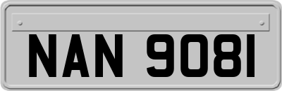 NAN9081