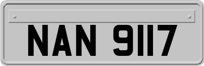 NAN9117