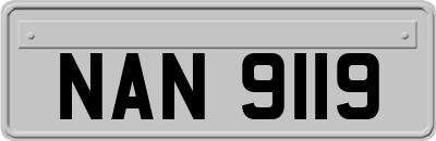 NAN9119