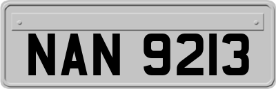 NAN9213