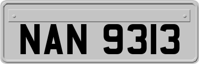 NAN9313