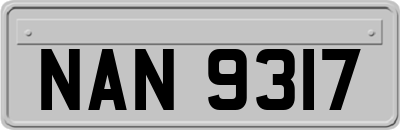 NAN9317