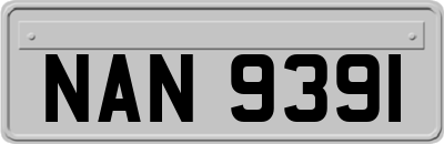 NAN9391