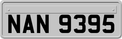 NAN9395