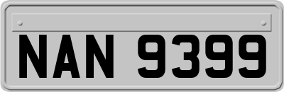 NAN9399