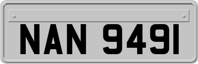 NAN9491