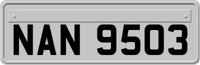 NAN9503