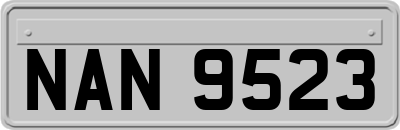 NAN9523