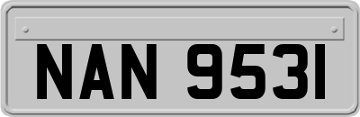 NAN9531