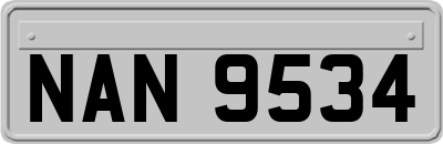 NAN9534
