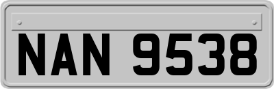 NAN9538