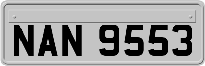 NAN9553