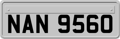 NAN9560