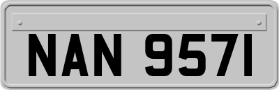 NAN9571