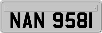 NAN9581