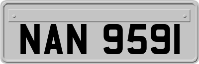 NAN9591