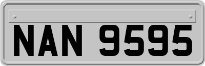 NAN9595