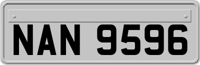 NAN9596
