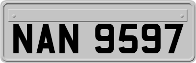 NAN9597