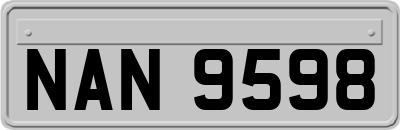 NAN9598