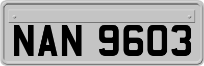 NAN9603