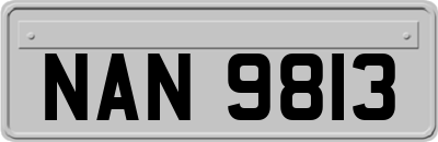 NAN9813