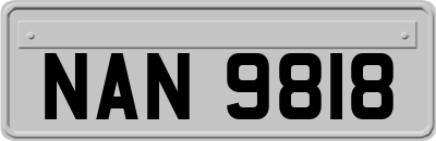 NAN9818
