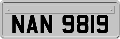 NAN9819