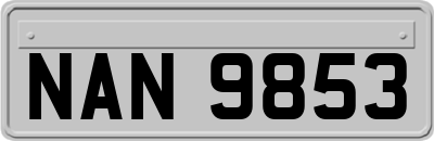 NAN9853