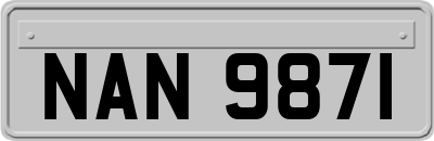 NAN9871