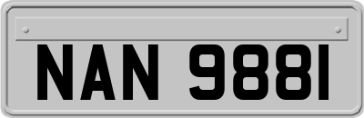 NAN9881