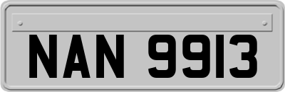 NAN9913