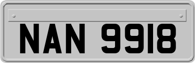 NAN9918